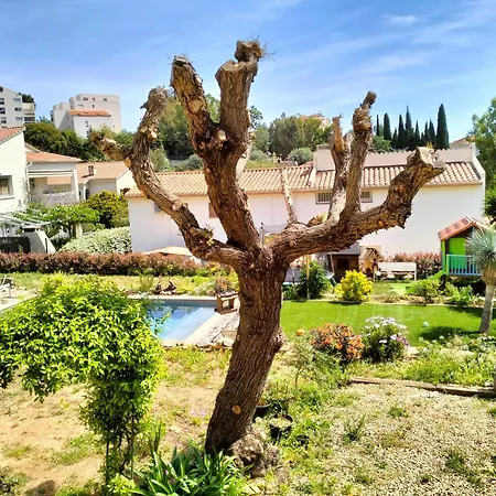 Hotel Avec Terrasse Au Calme Hyères
